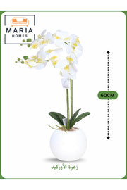 White Artificial Orchid in White Pot Ð 60cm Decorative Plant with 2 Branches
