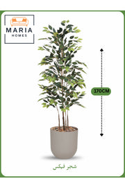 Artificial Ficus Tree 170 cm Ð Decorative Indoor Plant with Beige Pot