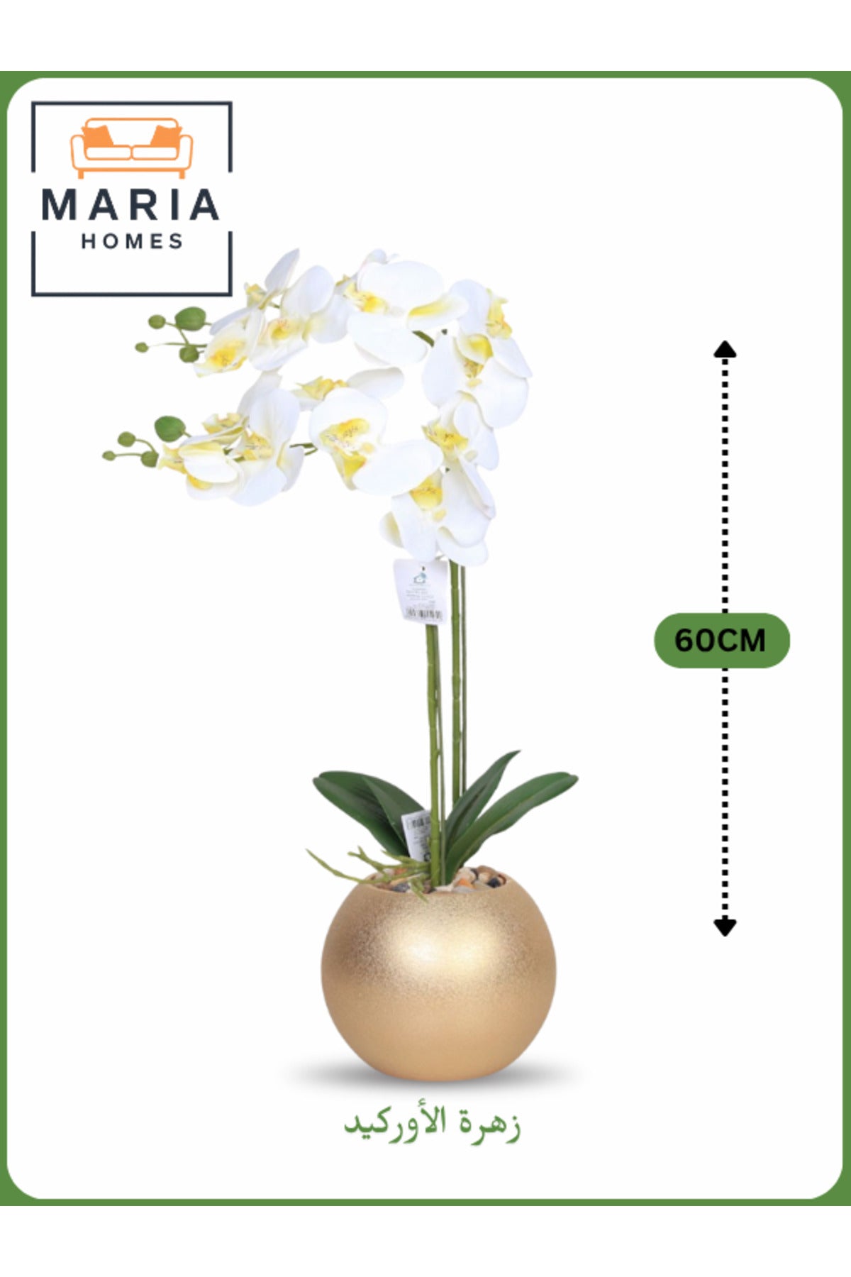 White Artificial Orchid in Gold Pot Ð 60cm Decorative Plant with 2 Branches