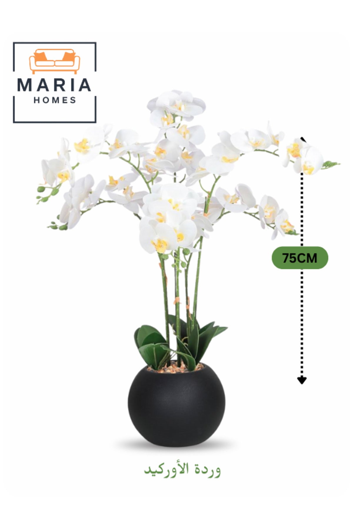Artificial White Orchid 75 cm Ð 6-Stem Decorative Flower with Black Round Pot