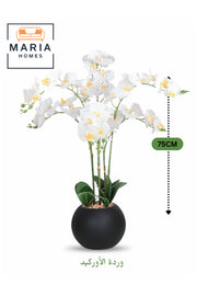 Artificial White Orchid 75 cm Ð 6-Stem Decorative Flower with Black Round Pot