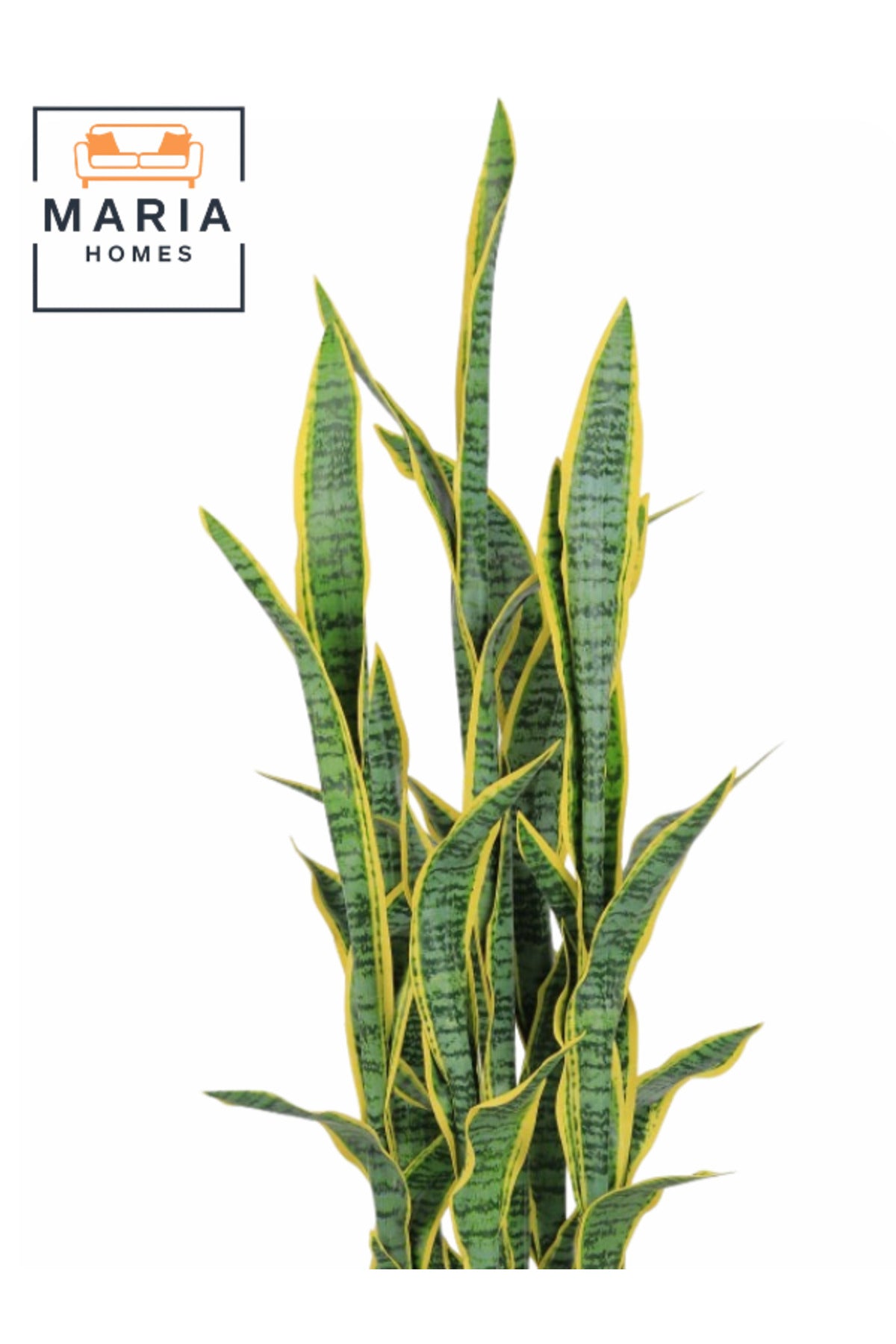 Artificial Snake Plant 125 cm Ð Indoor Decorative Plant with Light Gray Pot for home & office decor