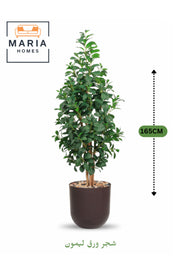 Artificial Lemon Leaf Tree 165 cm Ð Green Foliage in Brown Plastic Pot for home decor