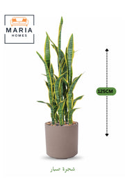 Artificial Snake Plant 125 cm Ð 7 Branches in Brown Plastic Pot for Home & Office Decor