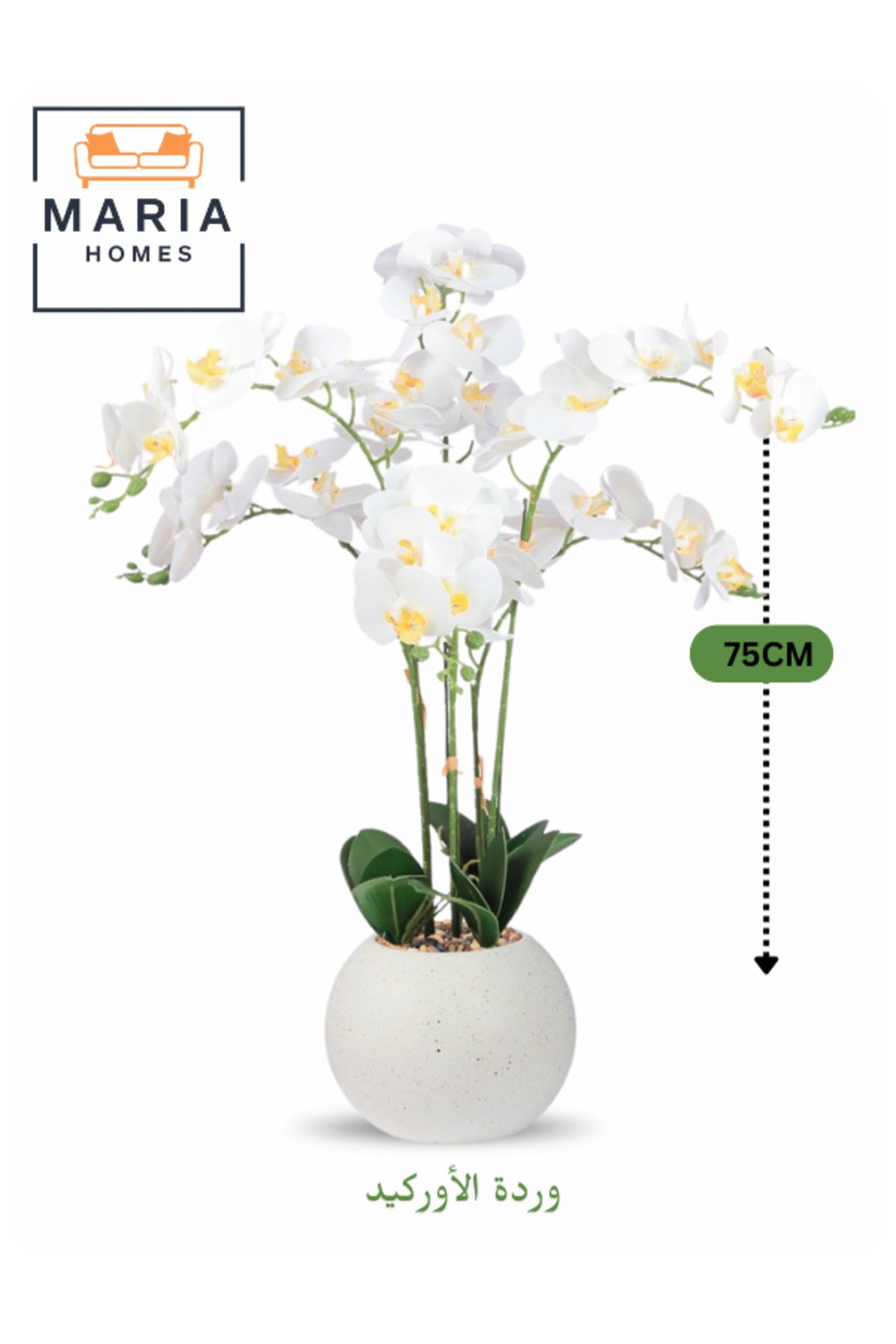 Artificial White Orchid 75 cm Ð 6-Stem Decorative Flower with Elegant White Pot