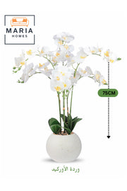 Artificial White Orchid 75 cm Ð 6-Stem Decorative Flower with Elegant White Pot