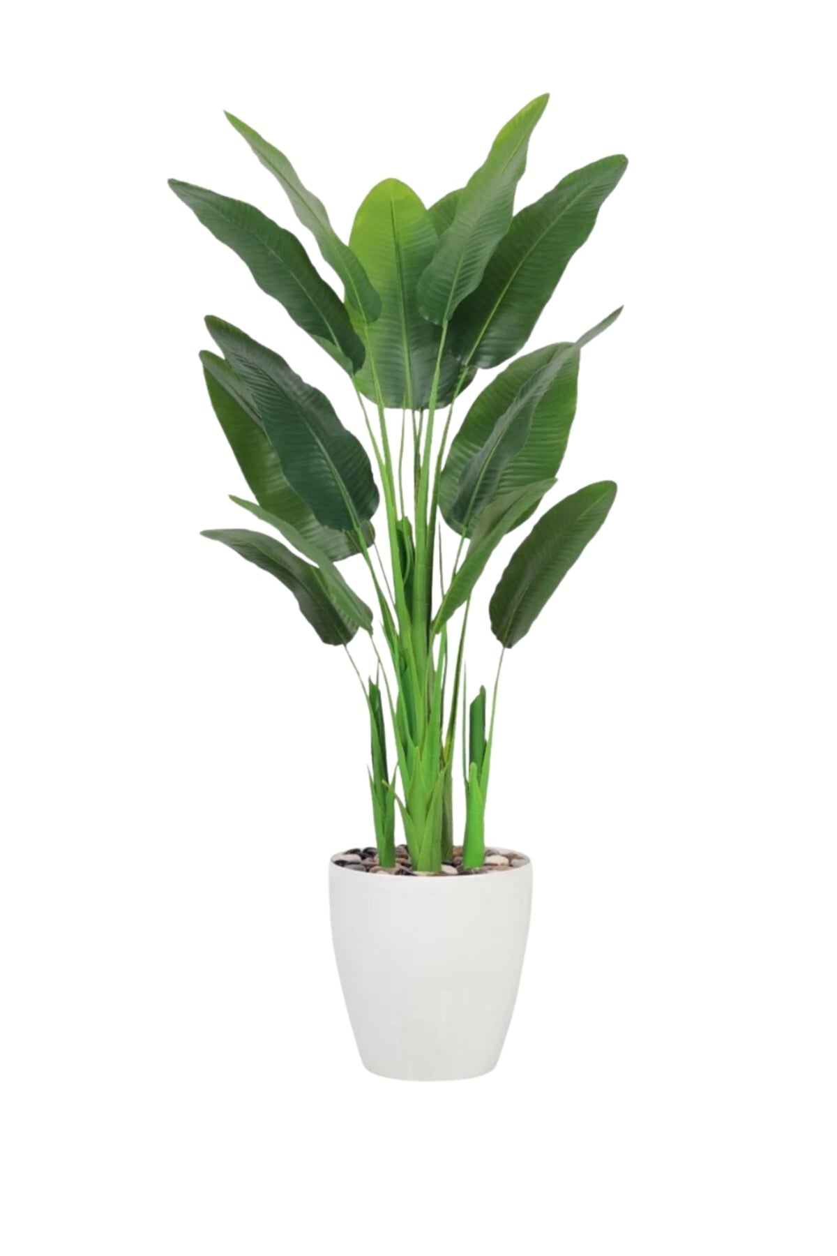 Artificial Banana Leaf Tree with with Pot – 180 cm Tall Indoor Tropical Decorative Plant