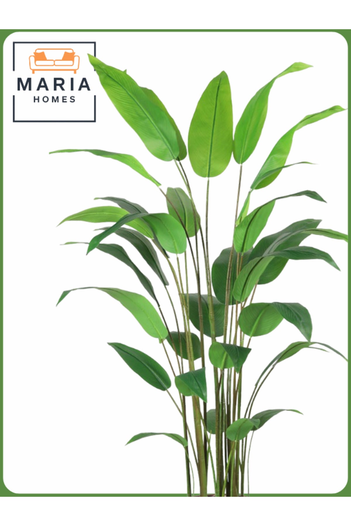 Artificial Bird of Paradise Tree 190 cm Ð Tall Indoor Plant with BLACK Pot