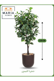 Artificial Lemon Tree 115 cm Ð Indoor Decorative Plant with Brown Pot