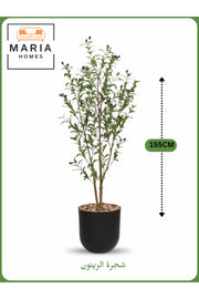 Artificial Olive Tree 155 cm Ð Indoor Decorative Plant with Black Pot