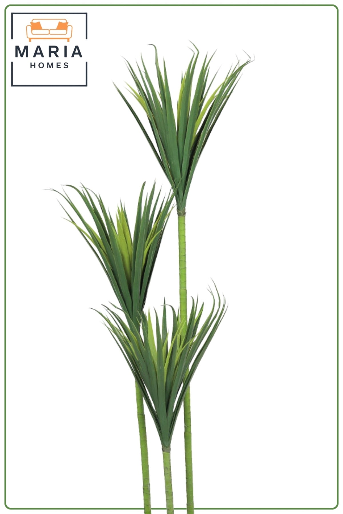 Artificial Dracaena Plant Tree 165 CM with Decorative Fiber Pot – Realistic Indoor Decorative Plant