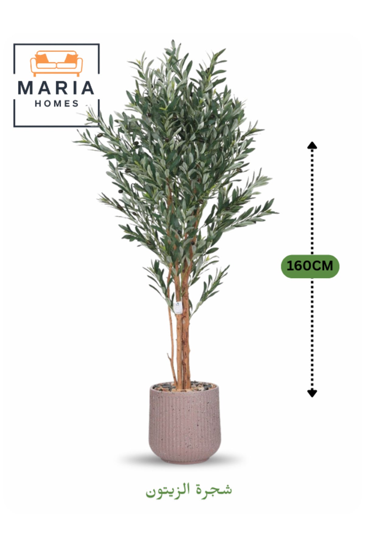Artificial Olive Tree 160 cm – Decorative Indoor Plant with Pot for Home & Majlis