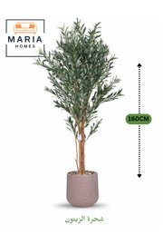 Artificial Olive Tree 160 cm – Decorative Indoor Plant with Pot for Home & Majlis