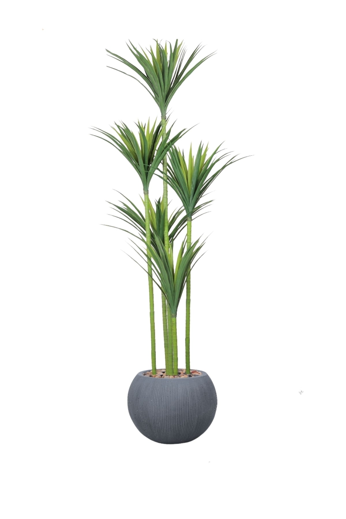 Artificial Grass Tree 240 cm with Fiber Pot – Tall Luxury Indoor Decorative Plant