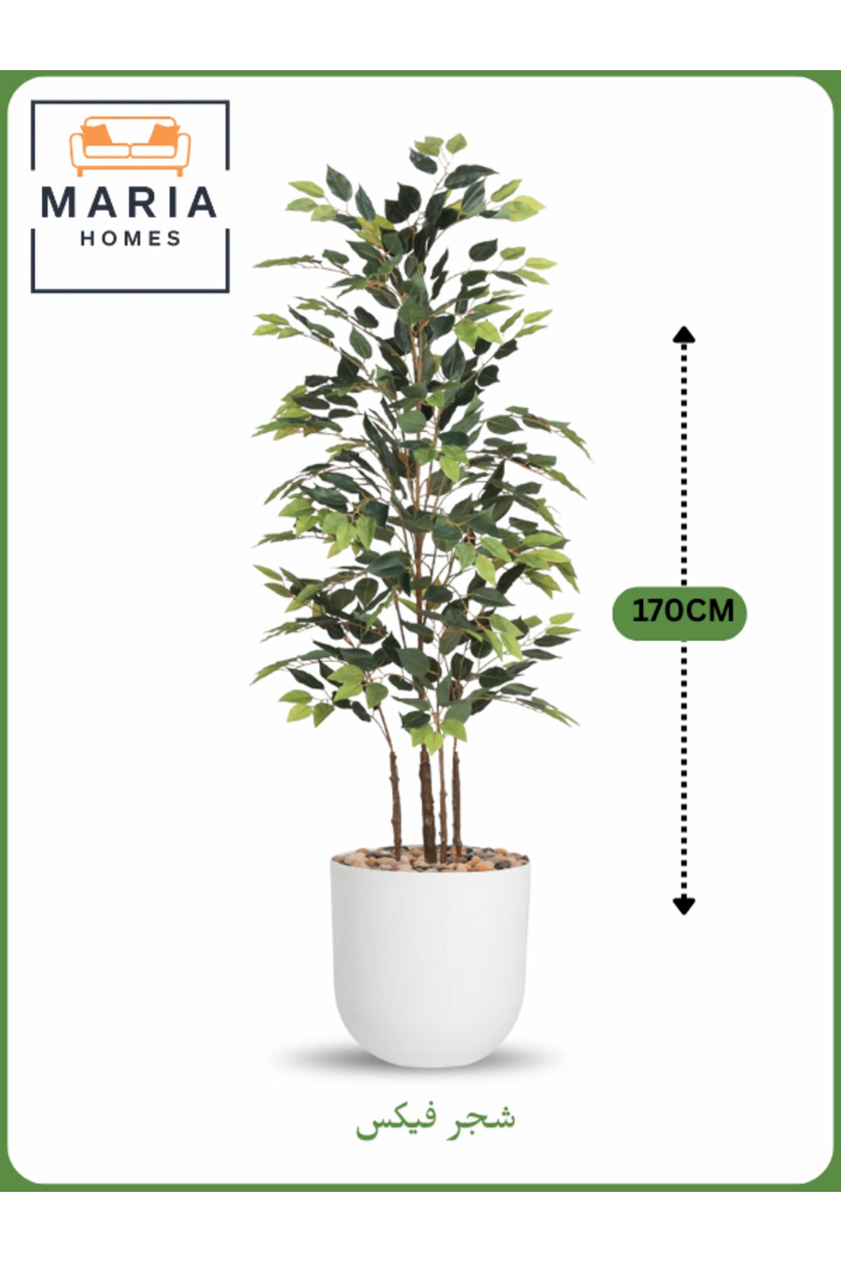 Artificial Ficus Tree 170 cm – Decorative Indoor Plant with white Pot