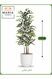Artificial Ficus Tree 170 cm – Decorative Indoor Plant with white Pot