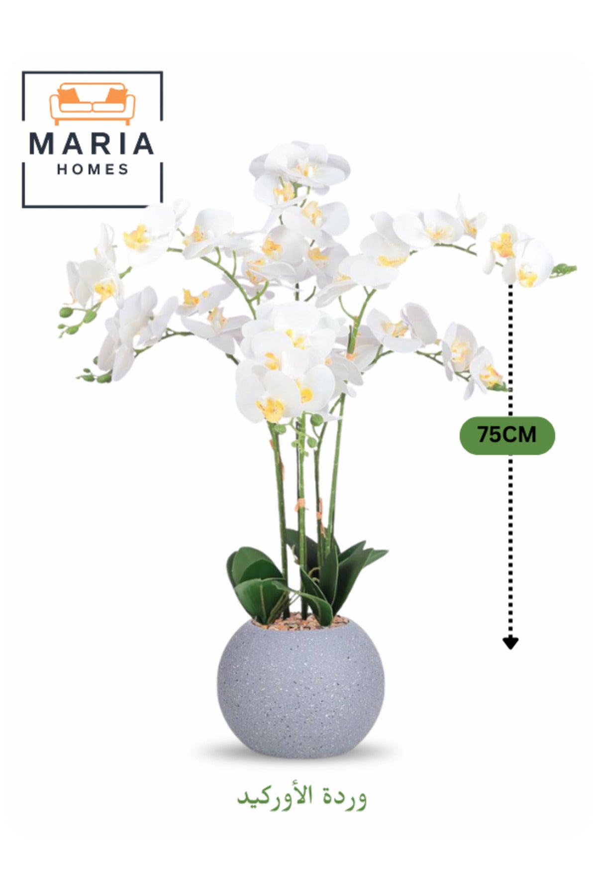 Artificial Orchid Flower 75 cm with 6 Branches Ð Decorative Indoor Plant with Gray Pot