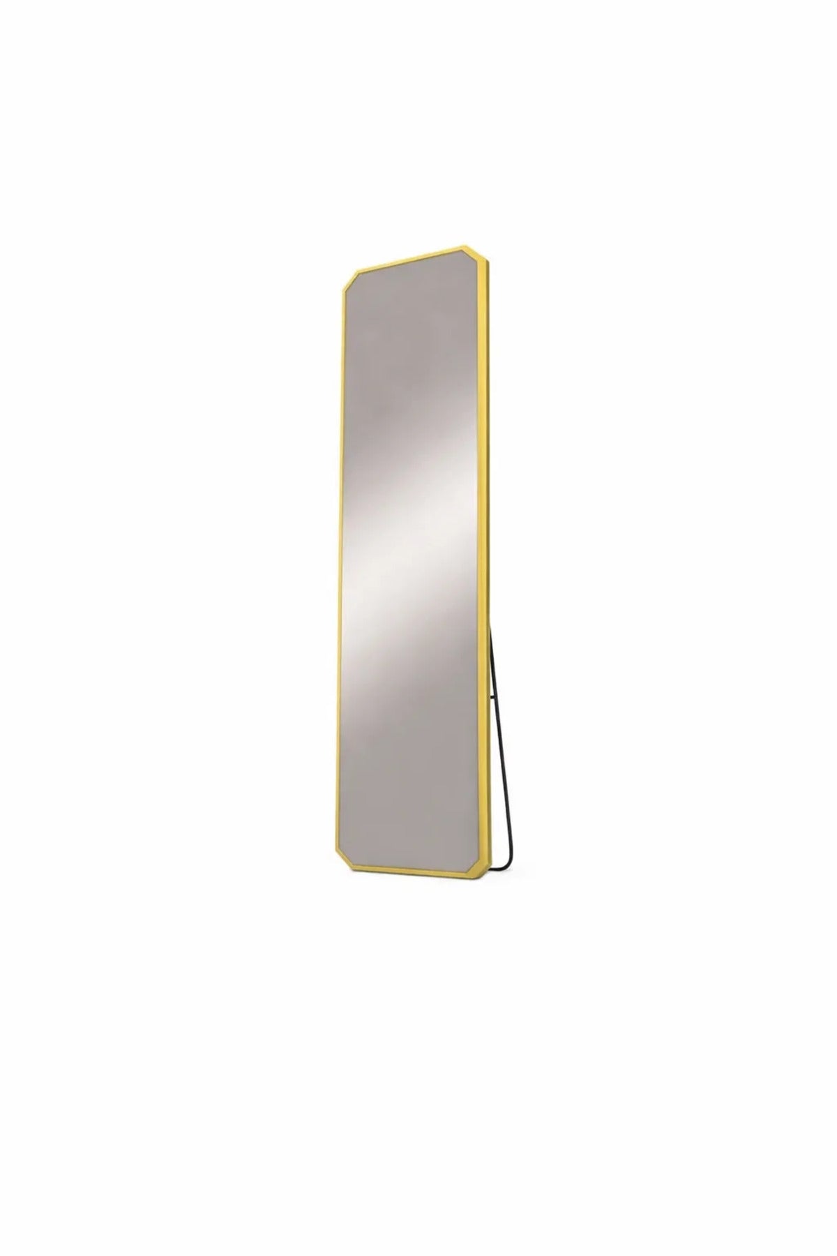 Gold Aluminum Full Length Standing Mirror 160x40cm Shatterproof Modern Bedroom Dressing Room Decor