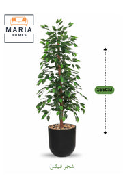 Artificial Ficus Tree 155 cm Ð Decorative Green Plant with Black Plastic Pot for home & office