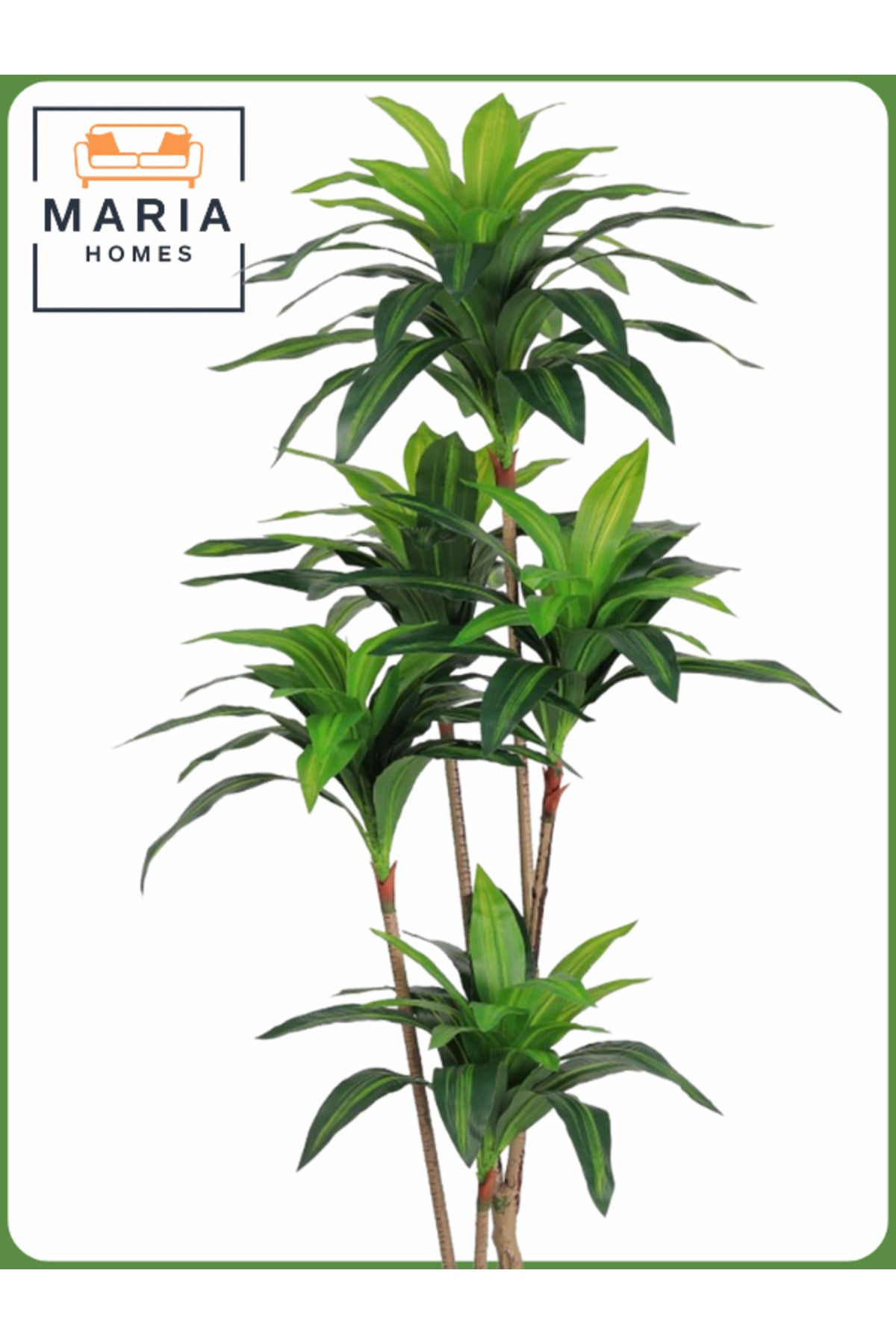 Artificial Corn Leaf Tree 180 cm Ð Indoor Faux Plant with Black Pot