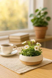 White Ceramic Rope Design Bowl Planter Ð Modern Decorative Pot for Home and Office DŽcor