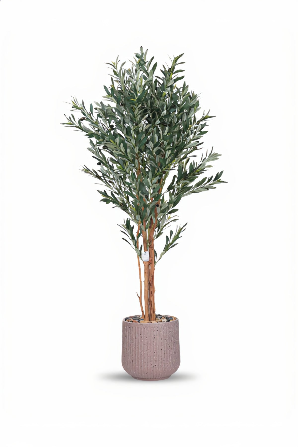 Artificial Olive Tree 160 cm – Decorative Indoor Plant with Pot for Home & Majlis