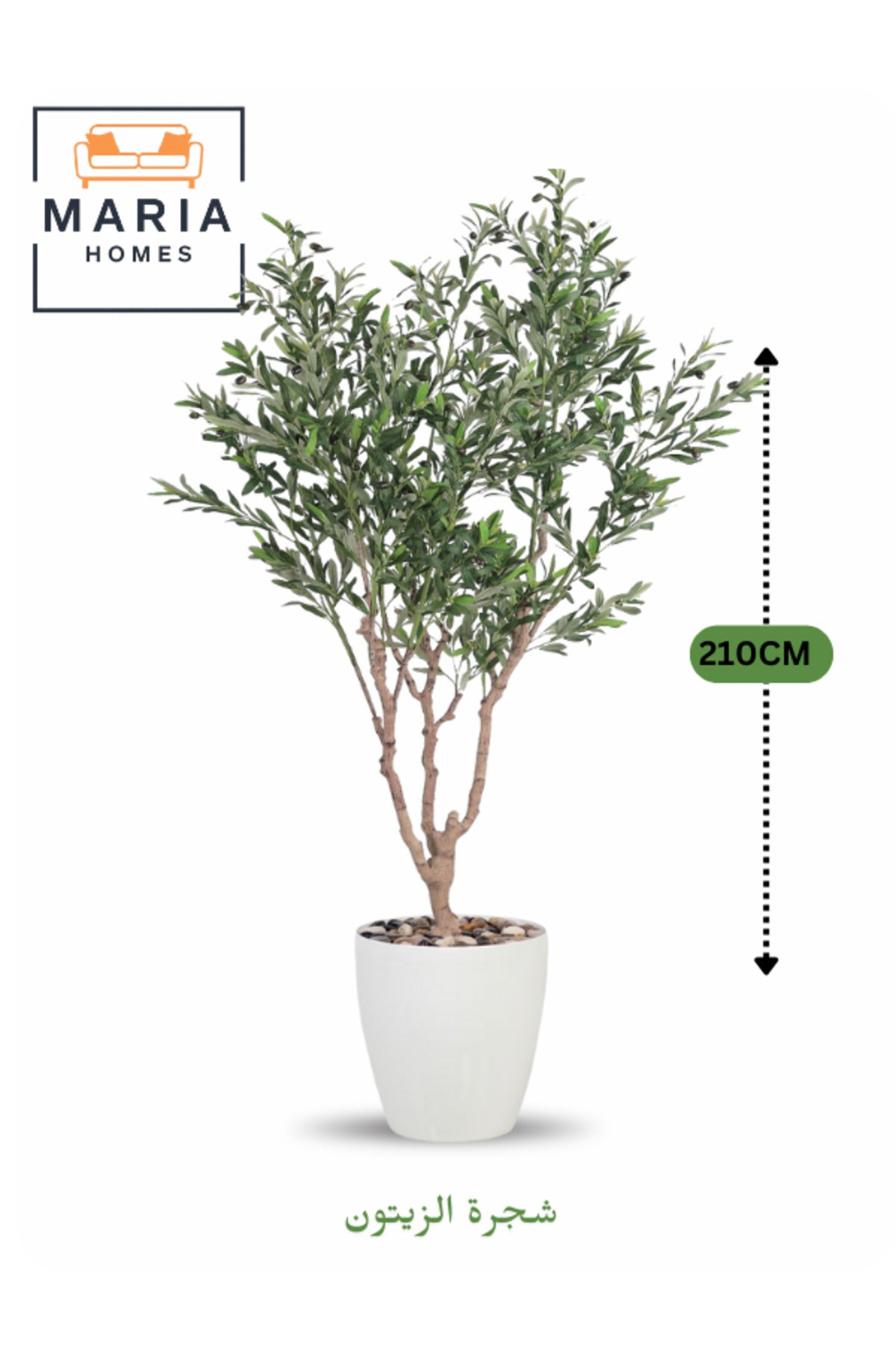 Artificial Olive Tree 210 cm – Green Foliage with White Plastic Pot for home & office decor