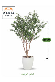 Artificial Olive Tree 210 cm – Green Foliage with White Plastic Pot for home & office decor