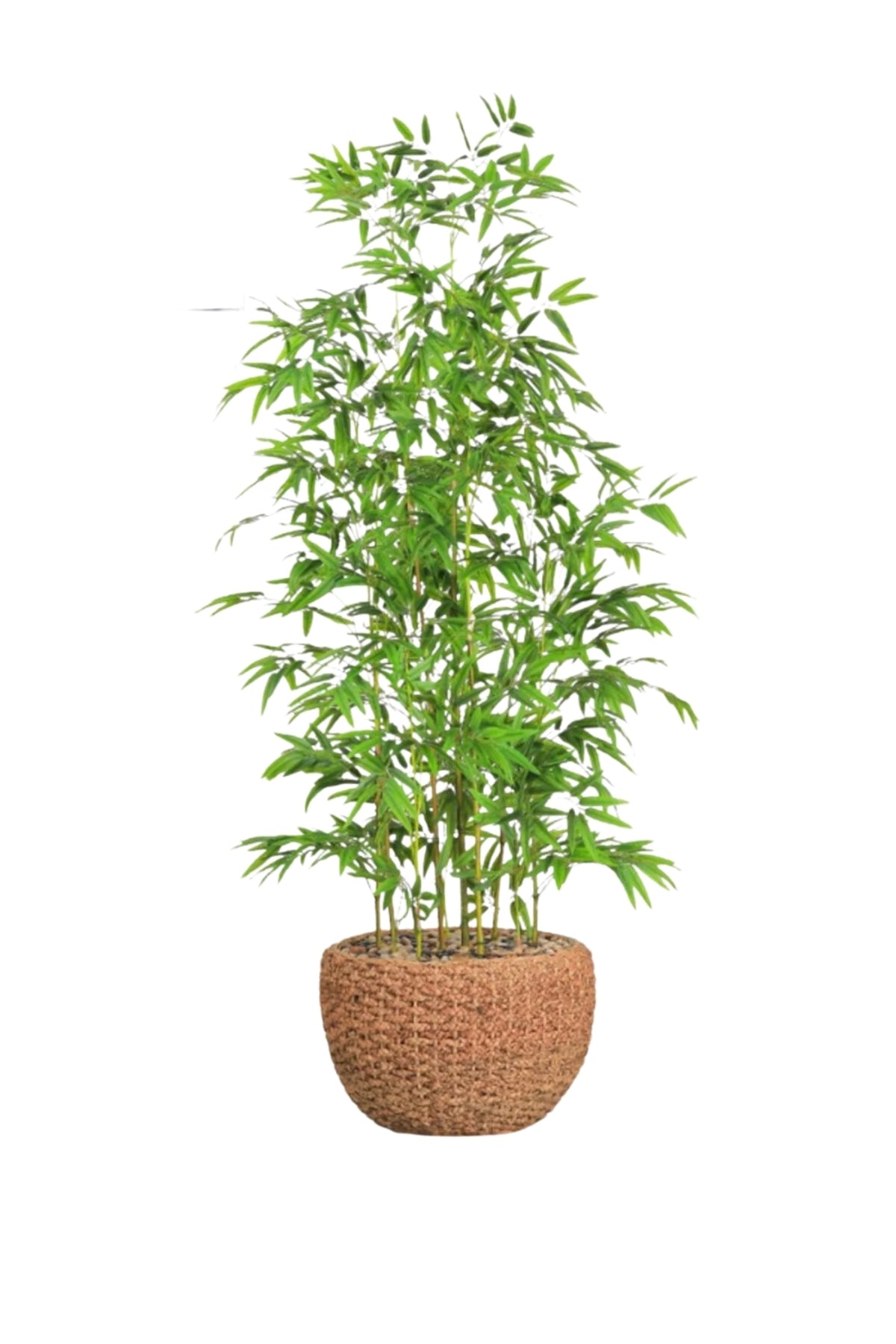 Artificial Bamboo Tree 210 cm – Decorative Plant with Natural Brown Pot