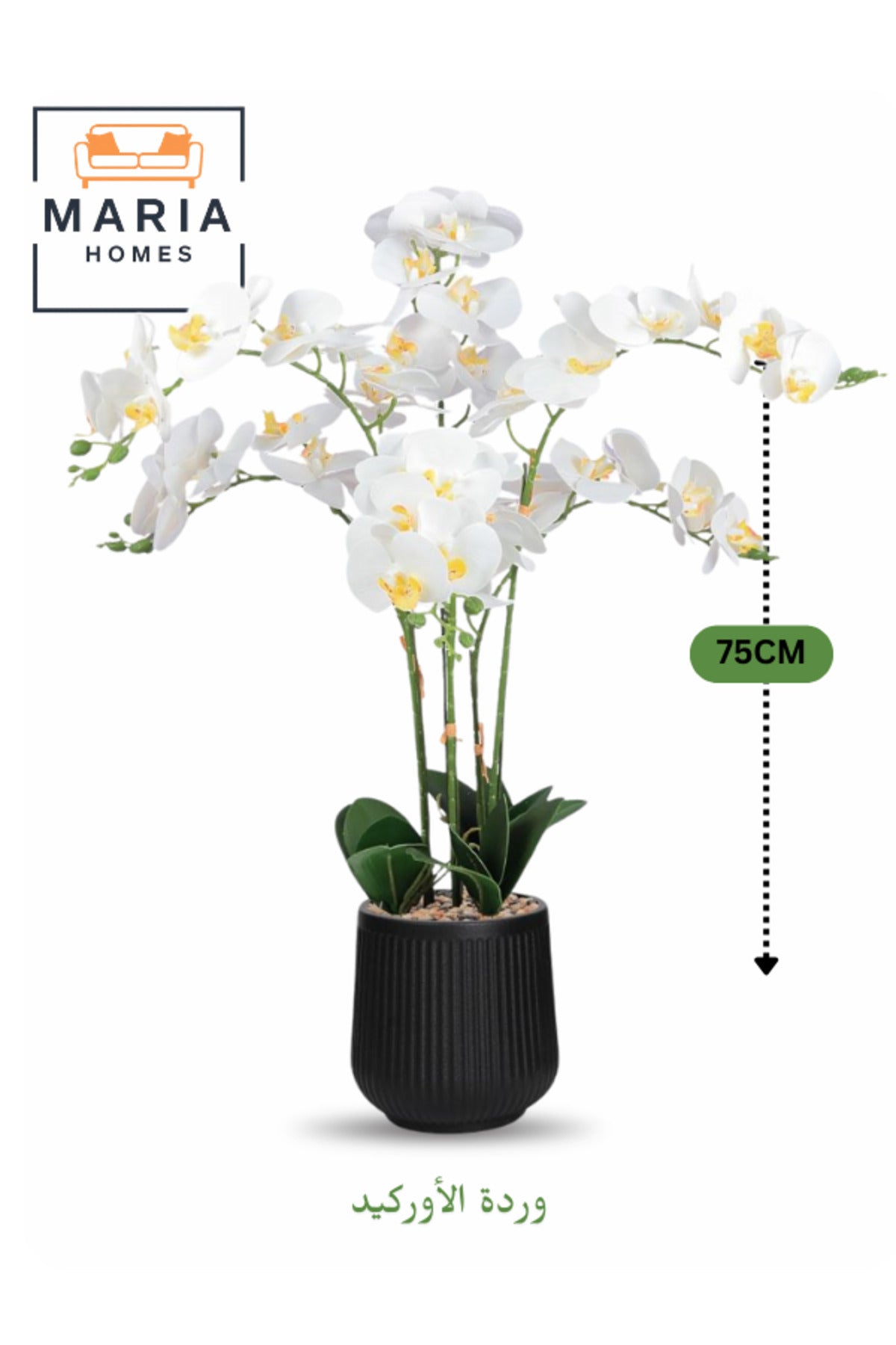 Artificial White Orchid Plant 75 cm Ð 6 Stems with Elegant Black Plastic Pot
