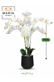 Artificial White Orchid Plant 75 cm Ð 6 Stems with Elegant Black Plastic Pot