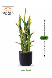 Artificial Snake Plant 125 cm Ð Decorative Indoor Plant with Black Pot for home & office decor