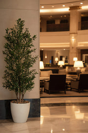 Artificial Olive Tree 210cm with 3 Branches in Cylindrical Plastic Pot for Home Decor
