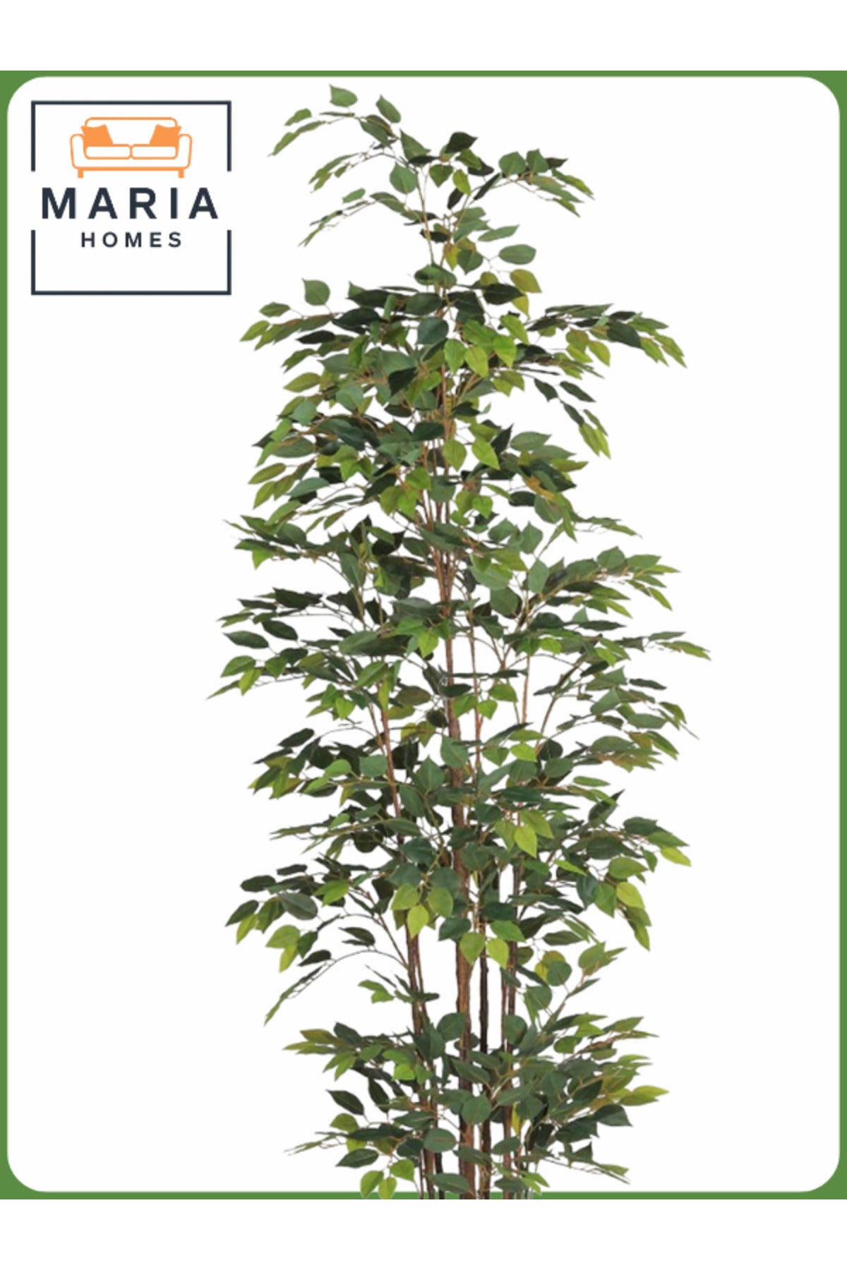 Artificial Ficus Tree 250 cm – Tall Indoor Decorative Plant with White Pot
