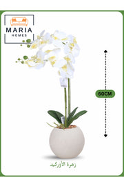 White Artificial Orchid in Off-White Pot Ð 60cm Decorative Plant with 2 Branches