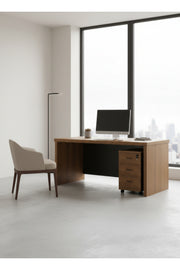 Modern Brown Office Desk with Mobile Drawer Cabinet