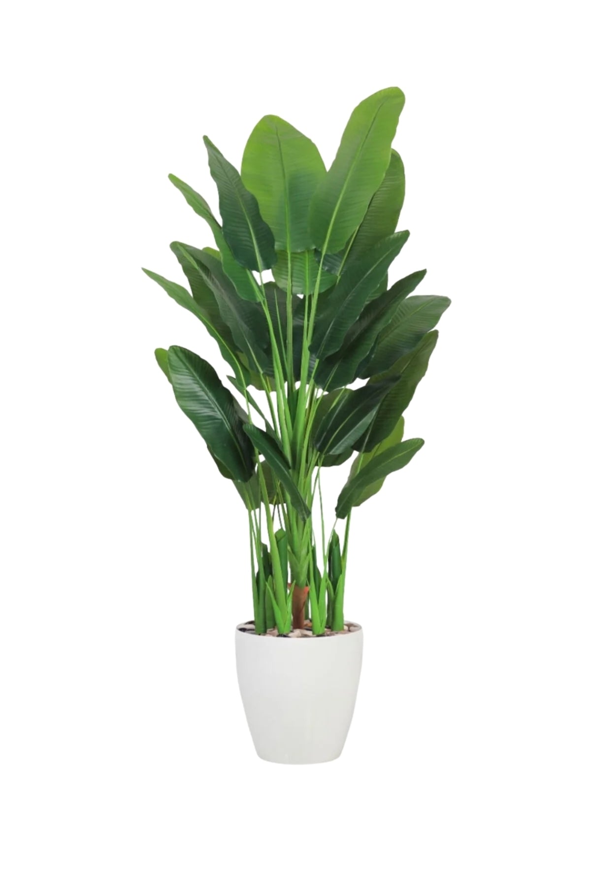 Artificial Banana Leaf Tree 220 cm with 8 Branches in Pot
