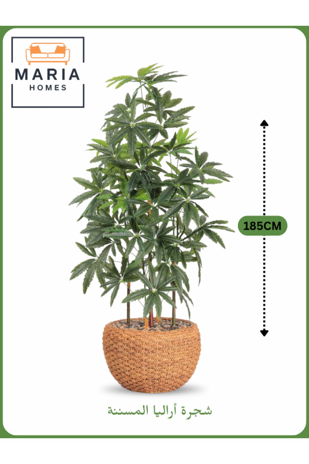 Artificial Aralia Tree 185cm with 5 Branches in Yellow Pot – Stylish Indoor Decoration