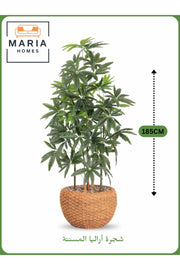 Artificial Aralia Tree 185cm with 5 Branches in Yellow Pot – Stylish Indoor Decoration