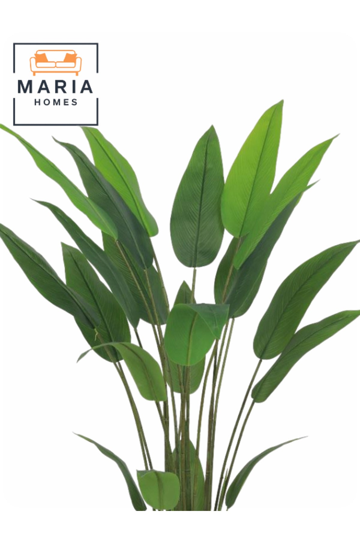 Artificial Bird of Paradise Plant 150 cm Ð Decorative Indoor Tree with Black Pot for Home & Office