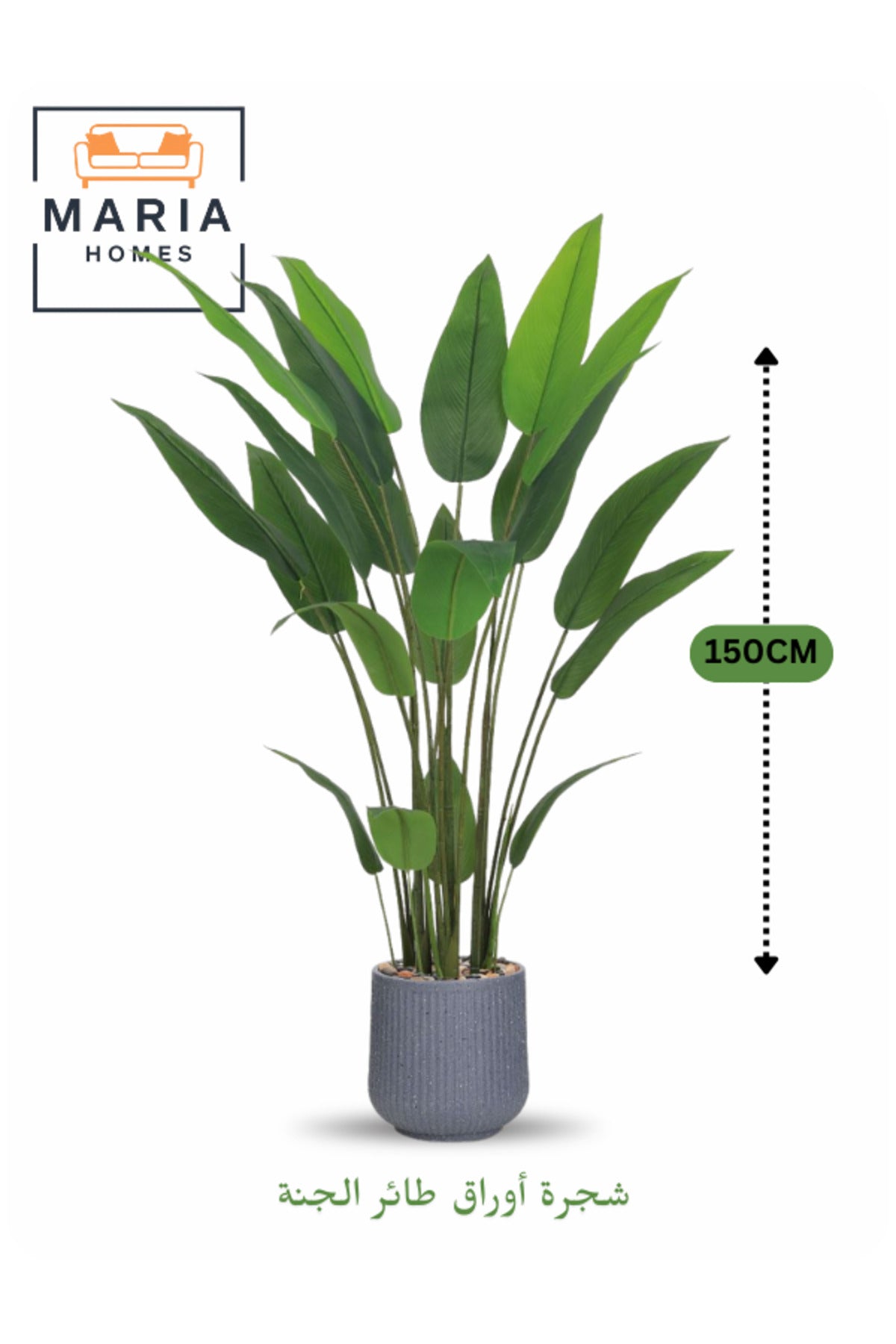 Artificial Bird of Paradise Plant 150 cm Ð Decorative Indoor Tree with Gray Pot for Home & Office