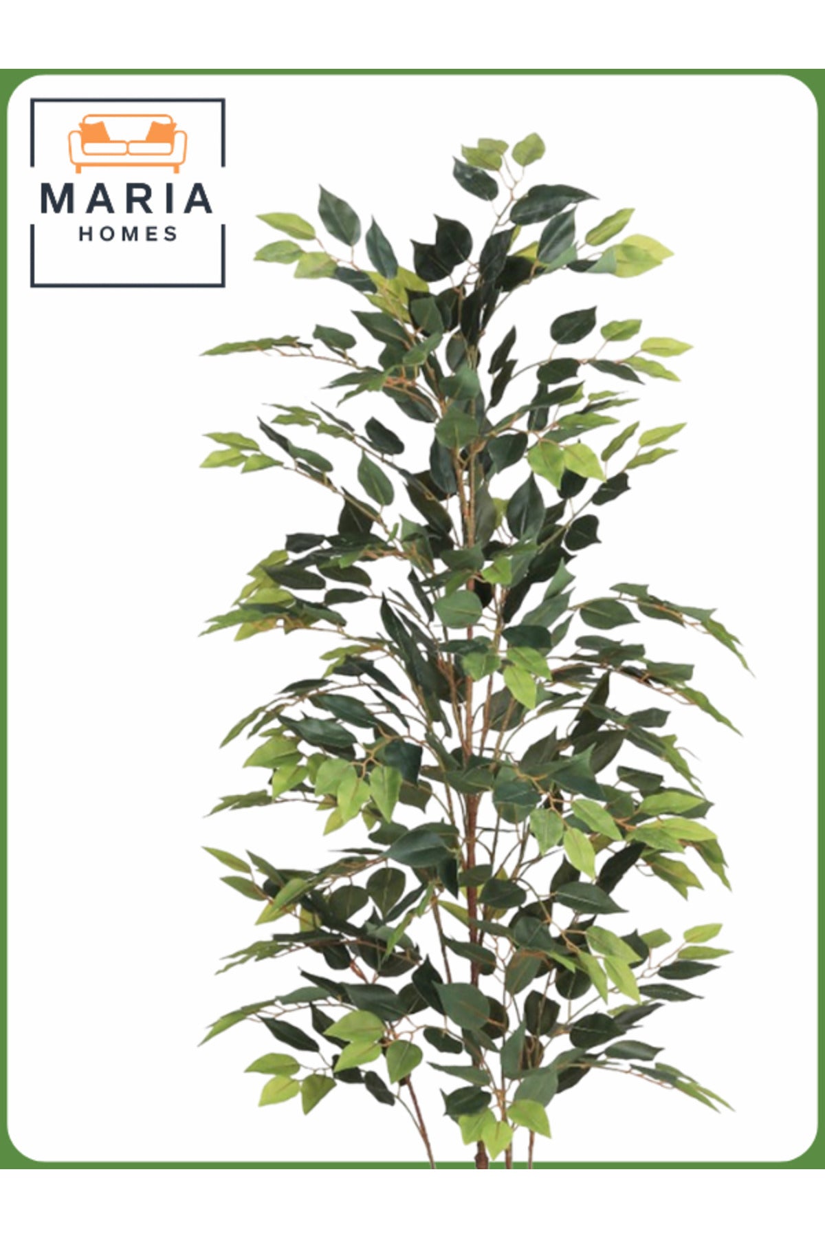 Artificial Ficus Tree 170 cm Ð Indoor Decorative Plant with Brown Pot