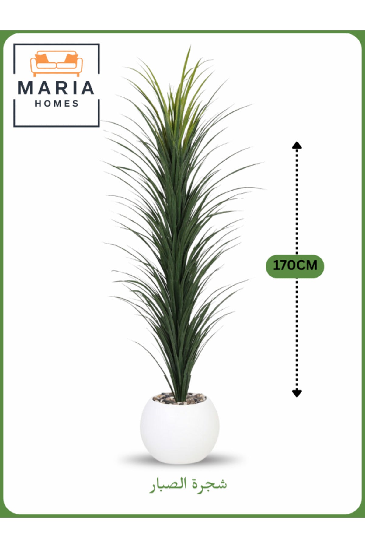 Artificial Cactus Tree 170 cm – Indoor Decorative Plant with White Pot