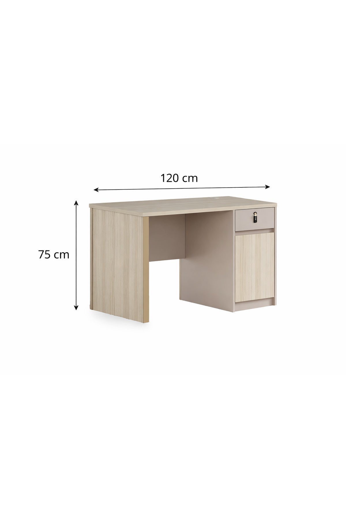 Modern Light Wood Office Desk with Storage Cabinet