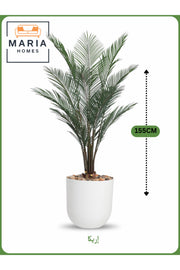 Artificial Areca Palm Tree 155 cm Ð Indoor Decorative Plant with White Pot