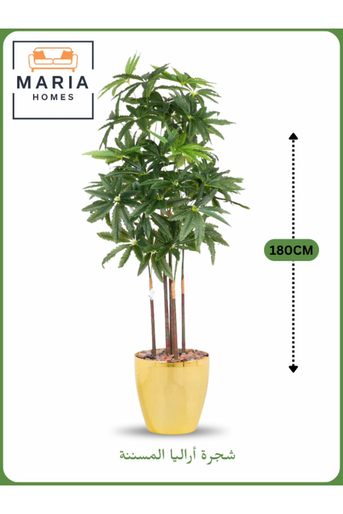 Artificial Aralia Tree 180cm with 5 Branches in Yellow Pot – Indoor Home & Office Decor