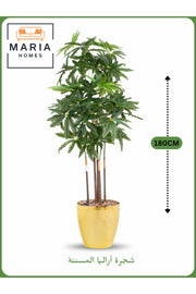 Artificial Aralia Tree 180cm with 5 Branches in Yellow Pot – Indoor Home & Office Decor