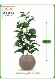Artificial Lemon Leaf Plant 55 cm Ð Decorative Indoor Greenery with Brown Pot