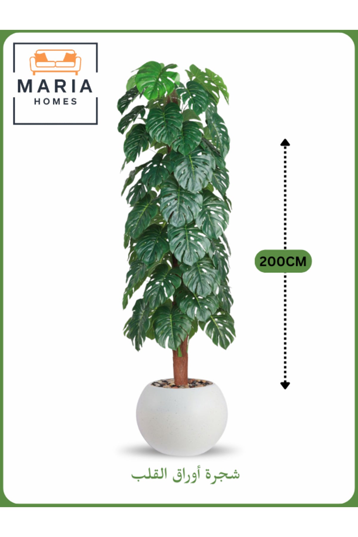Artificial Monstera Tree 200 cm Ð Tall Faux Plant with White Pot