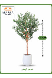 Artificial Olive Tree 210 cm Ð Large Indoor Decorative Tree with White Pot